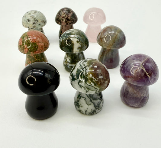 Mystery Mini Crystal Mushroom – Intuitively Chosen